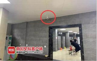 广西王女士最新爆料,揭秘惊人内幕！  第1张