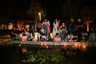 卓尔最新爆料桃花驿,桃花驿神秘面纱背后的传奇故事 第1张 卓尔最新爆料桃花驿,桃花驿神秘面纱背后的传奇故事 第1张